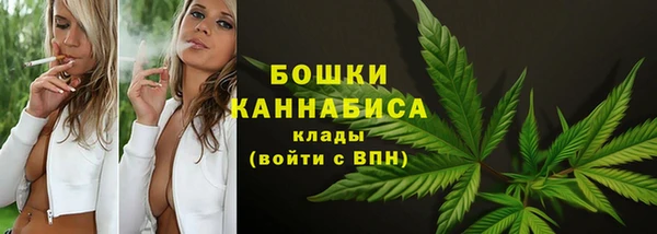 спиды Пересвет