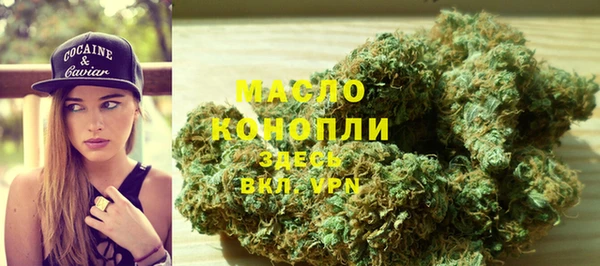 спиды Пересвет