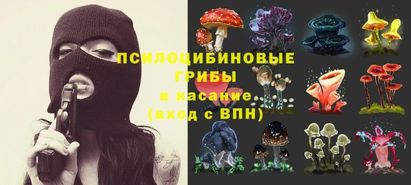 спиды Переславль-Залесский
