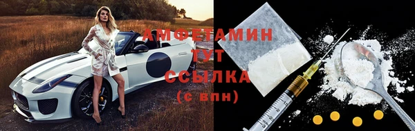 спиды Пересвет