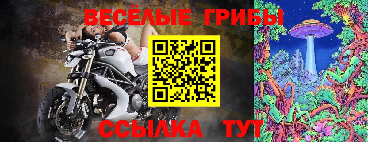 Галлюциногенные грибы прущие грибы Сальск