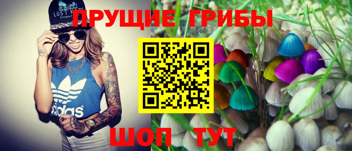 Галлюциногенные грибы Psilocybe  Вход с VPN  Сальск 